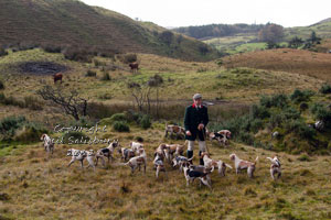 Black Combe Beagles at Coniston Cumbria by Betty Fold Gallery