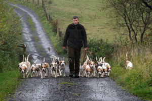 Black Combe Beagles photography by Betty Fold Gallery