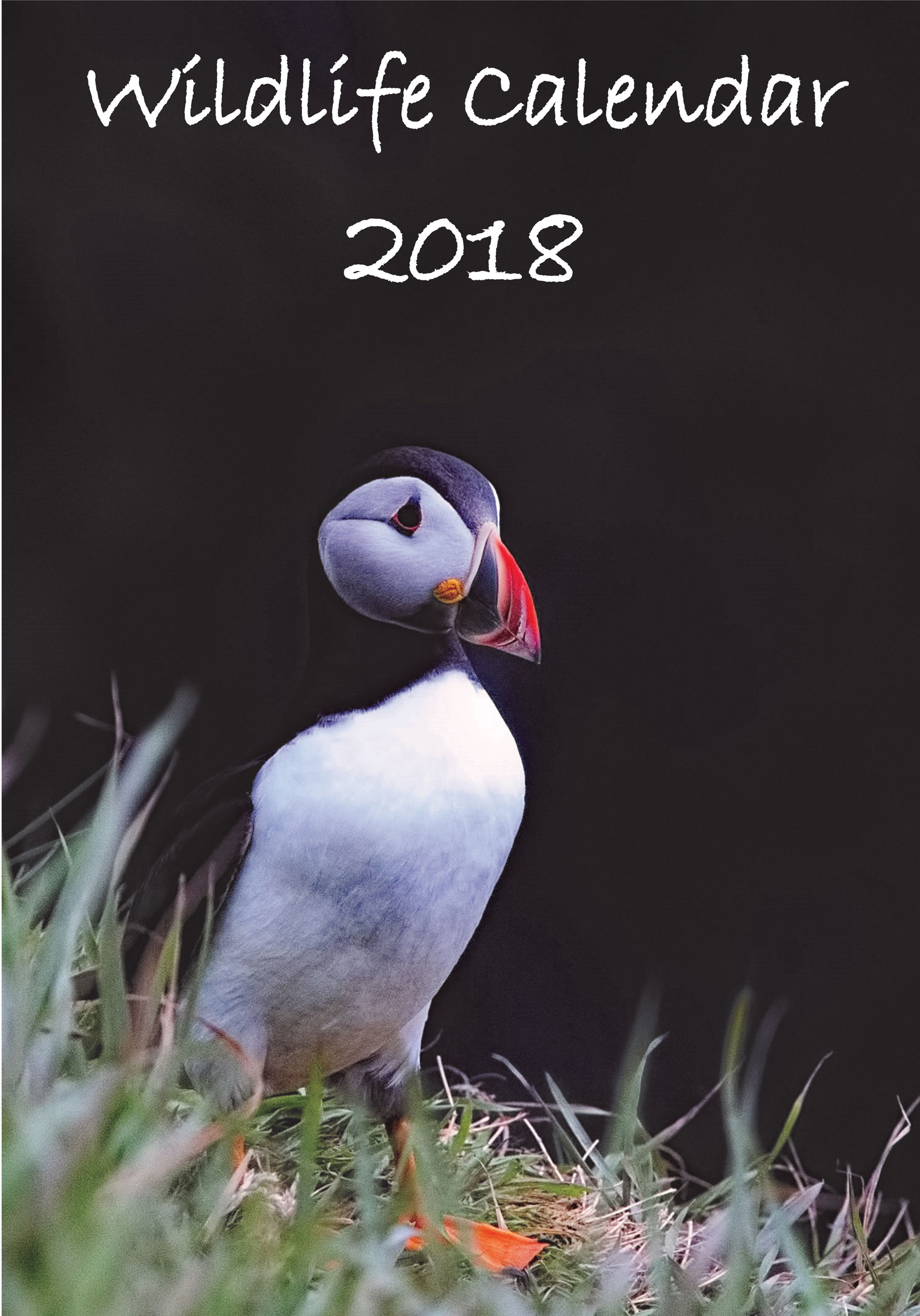 Wildlife Calendar by Betty Fold Gallery