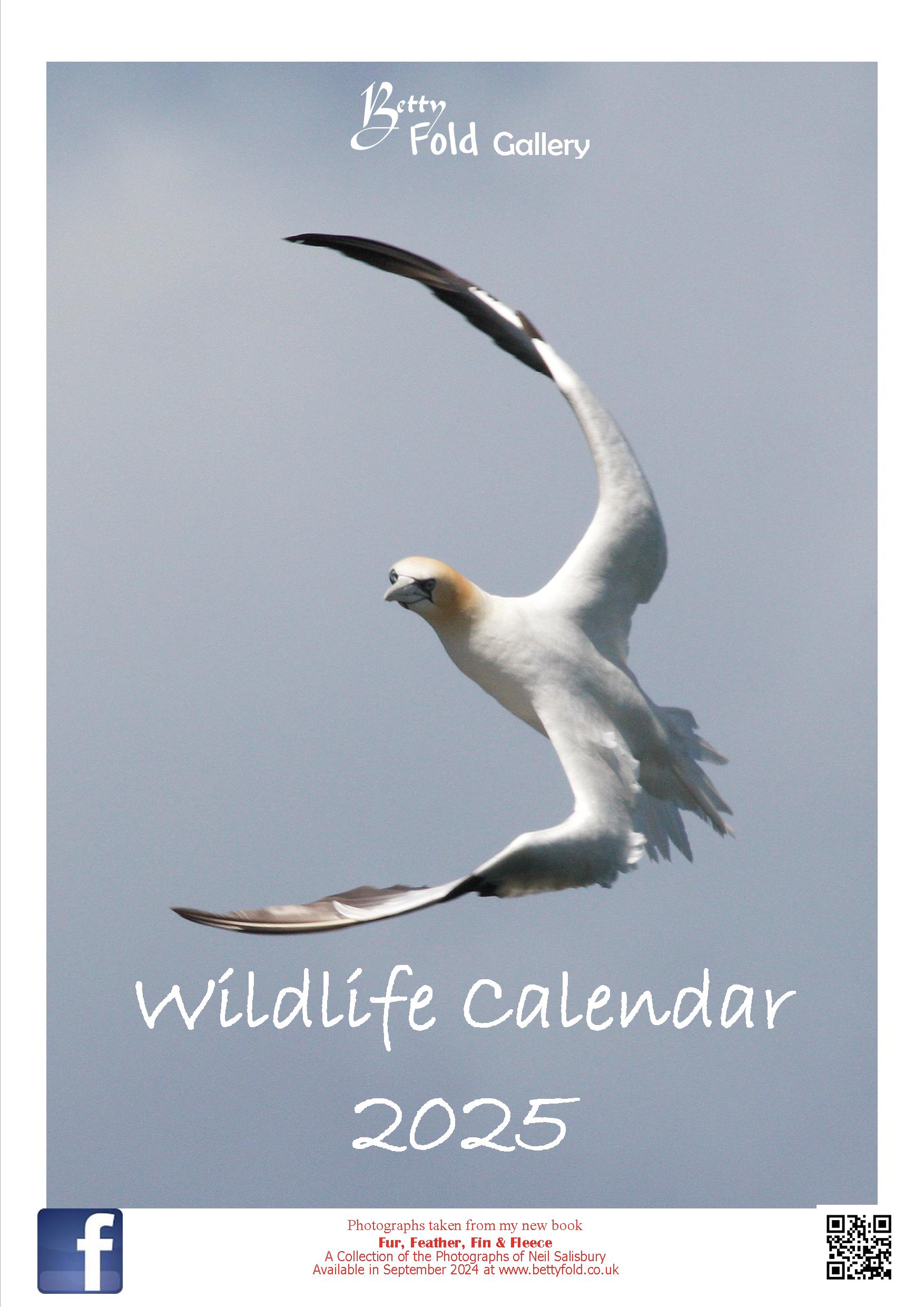 Wildlife Calendar for 2025 by Betty Fold Gallery