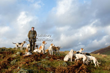 Cumbrian Hunting Photographer Neil Salisbury Betty Fold Gallery