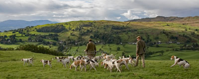 Foxhounds in Troutbeck by Betty Fold Gallery