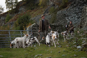 Hounds in Langdale by Betty Fold Gallery
