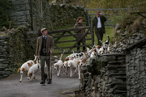 Hounds in Langdale by Betty Fold Gallery