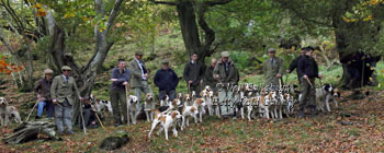 Foxhunting images by Betty Fold Gallery