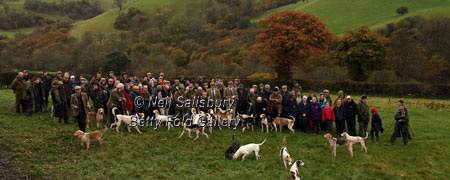 Fell Foxhounds in Wales by Betty Fold Gallery