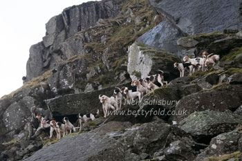 Hounds on the fells by Betty Fold Gallery