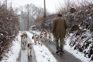 Fellhounds in the snow photography by Betty Fold Gallery
