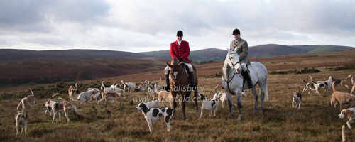 Foxhunting Photographs by Betty Fold Gallery