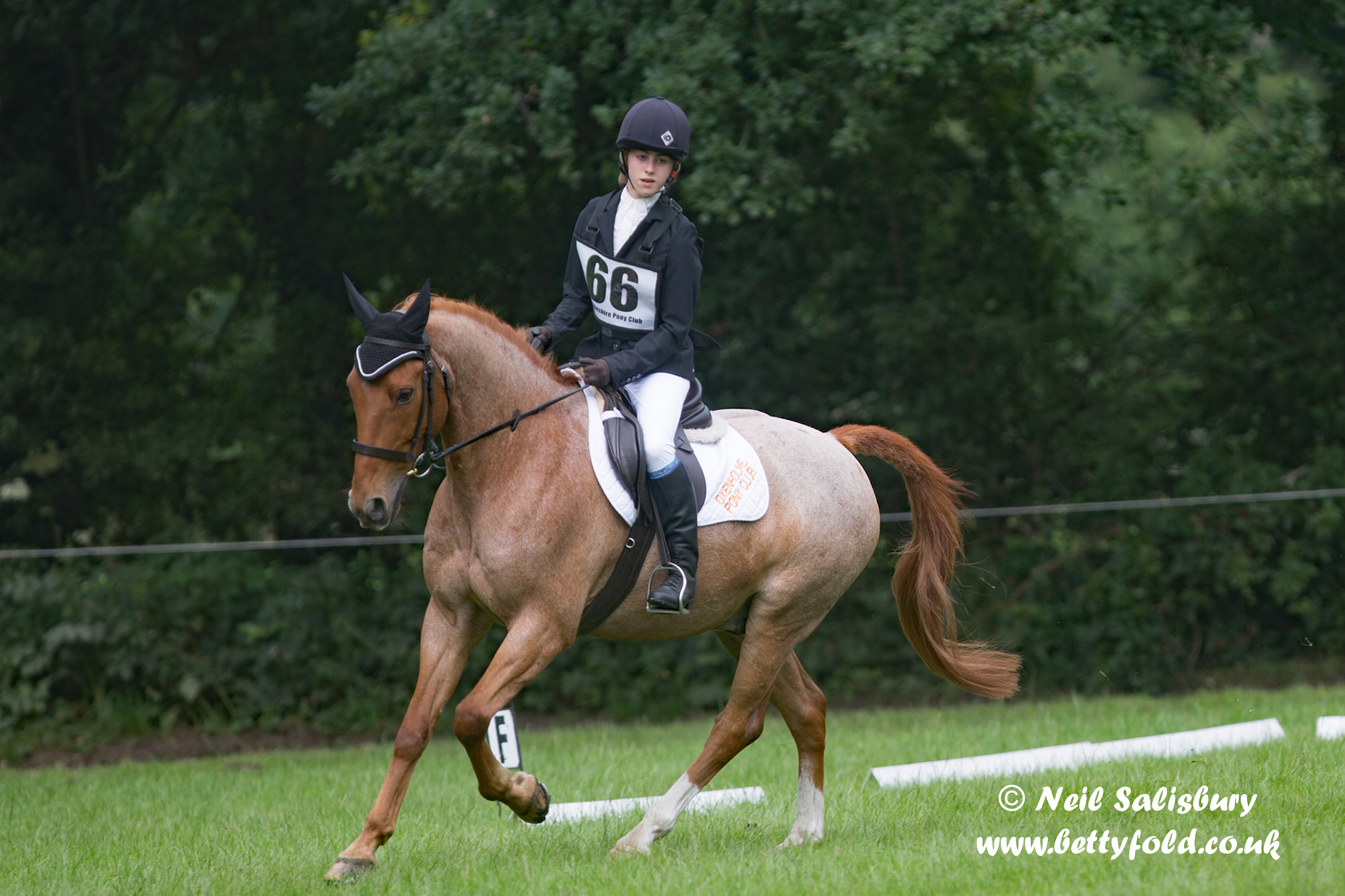 Oxenholme Pony Club images
