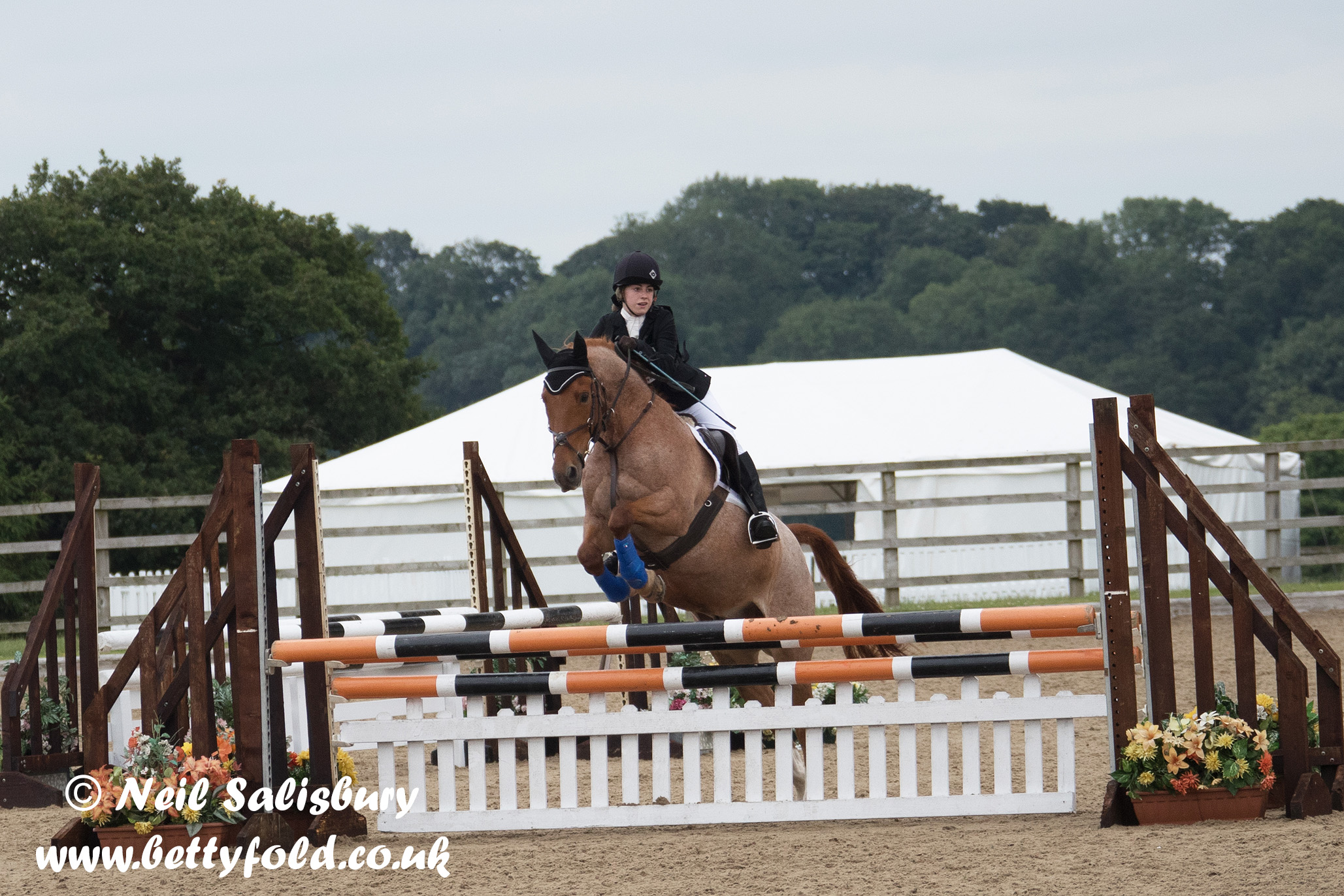 Oxenholme Pony Club Images
