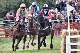Point to Point Photography by Betty Fold Gallery