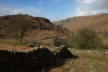 Grasmere Photography by Betty Fold Gallery