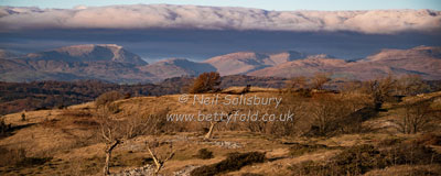 Whitbarrow Photography by Betty Fold Gallery
