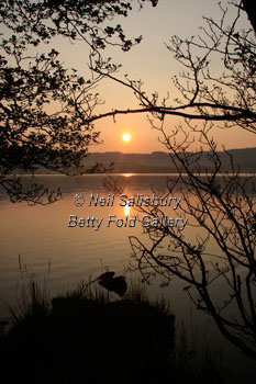 Windermere Photography Lake District Betty Fold Gallery