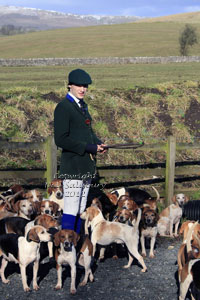 Stowe Beagles Images by Betty Fold Gallery