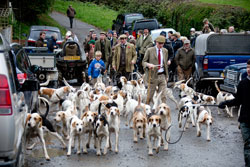 Teme Valley Foxhounds photography by Betty Fold Gallery