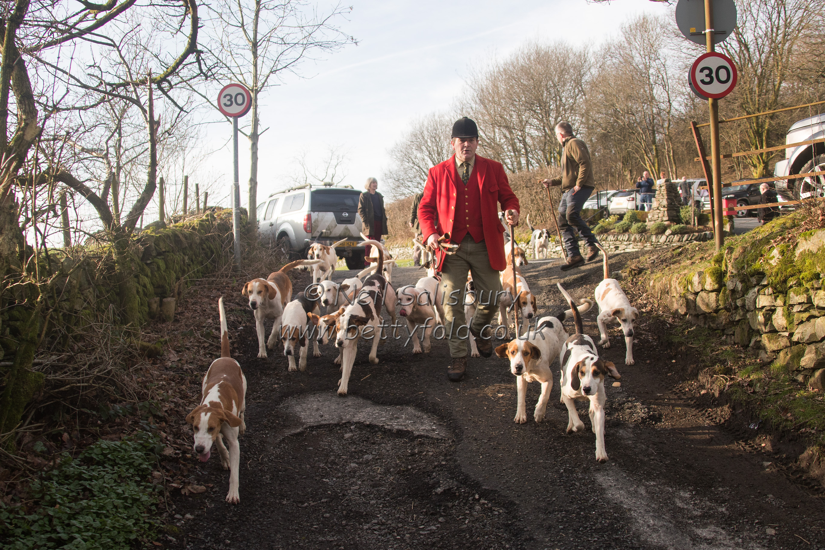 Foxhounds in the Troutbeck Lane
