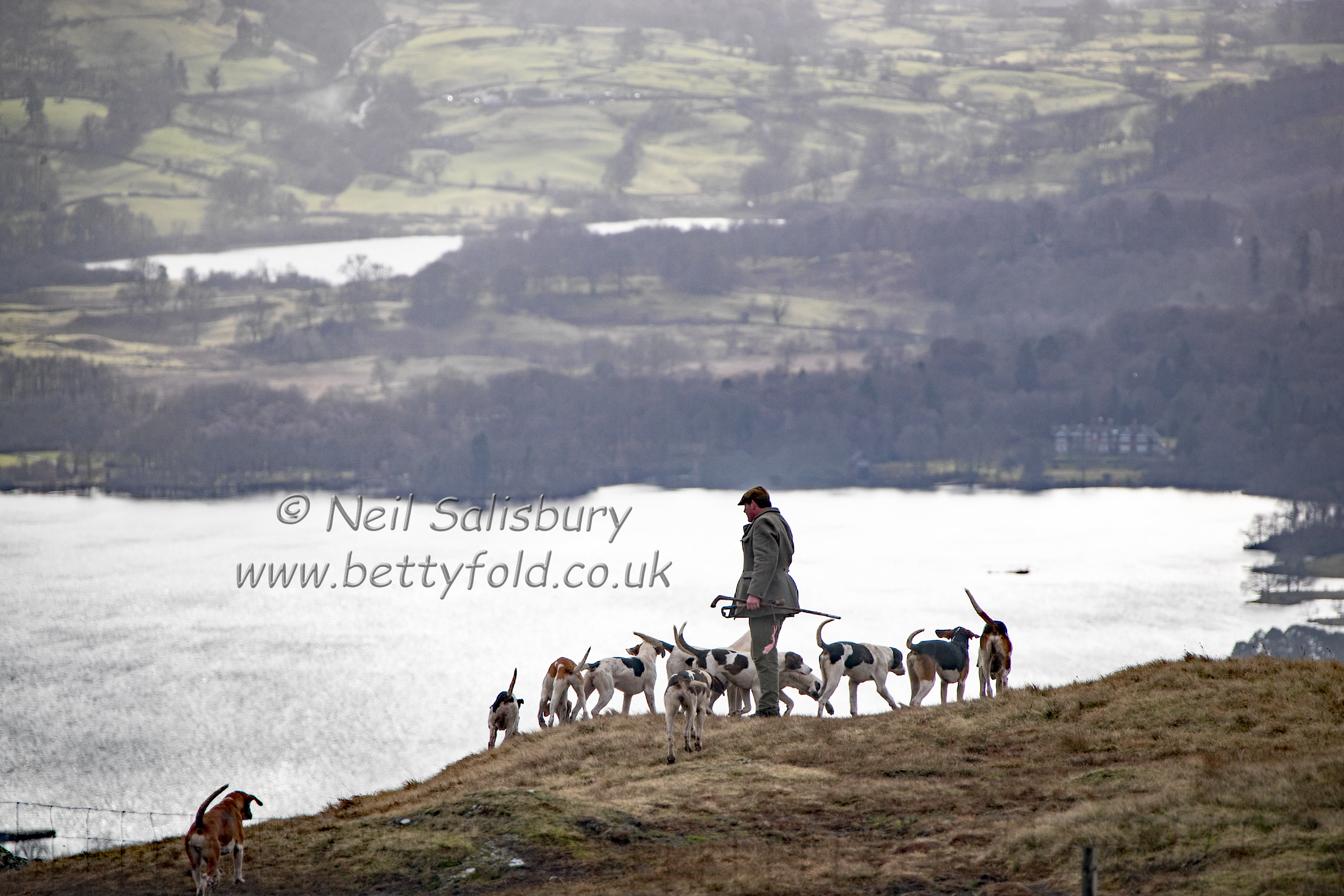 Foxhounds above Windermere
